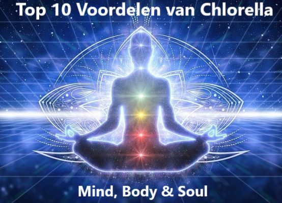 Top 10 voordelen van Chlorella