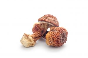Agaricus Blazei Murill Poeder Bio (Spiruella)