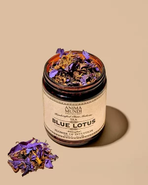 Blauwe Lotus (Anima Mundi) - Blue Lotus - 28 Gram