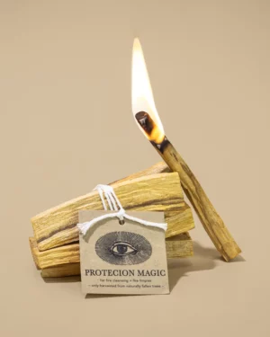 Palo Santo: Sacred Wood Incense (Anima Mundi)