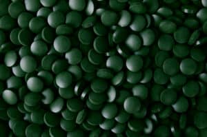 Marine Phytoplankton Tabletten (Spiruella) 100 gram