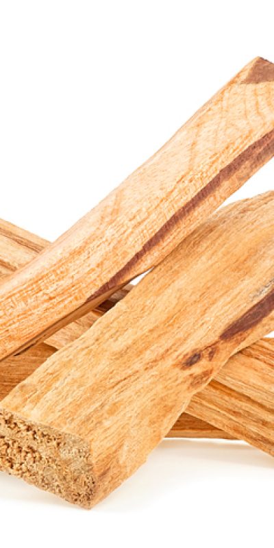 Palo Santo incense wood sticks isolated on a white background. Bursera Graveolens. Holy wood sticks.